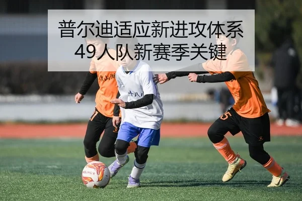 普尔迪适应新进攻体系 49人队新赛季关键